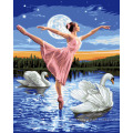 Ballet dancer swan lake DIY Paint by Numbers for leisure time